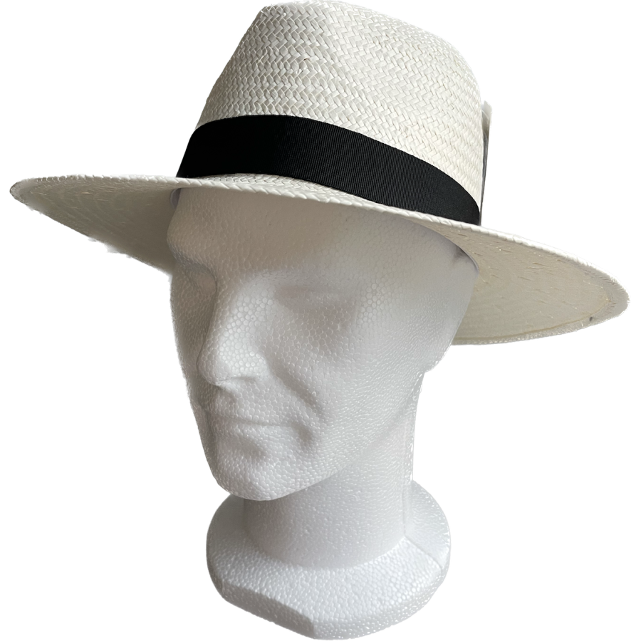 Chapeau Homme type Panama